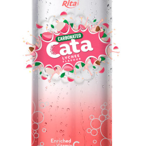 500ml Carbonated  Lychee Flavor Drink
